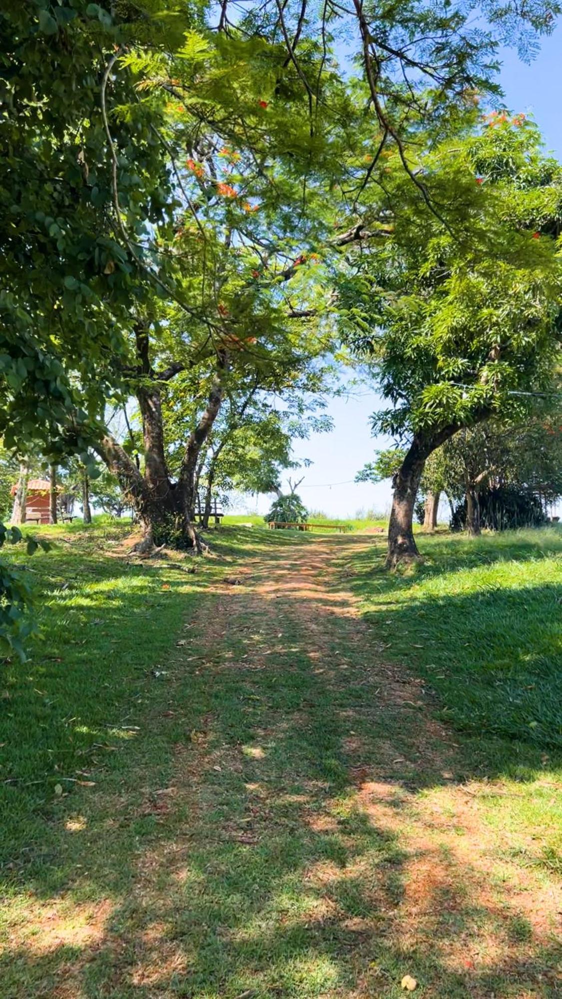 Hotel Fazenda Ararita Порту-Феліс Екстер'єр фото
